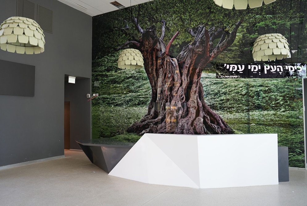 כימי העץ ימי עמי