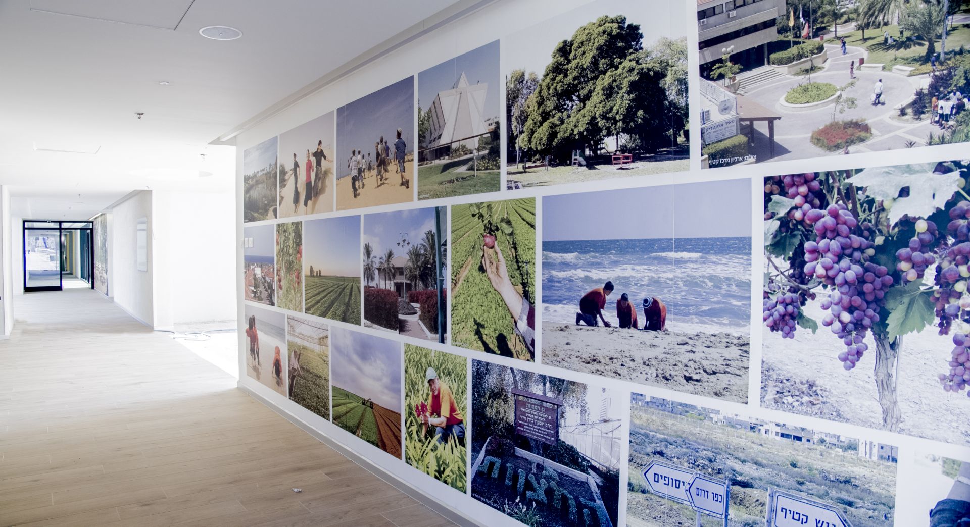 מסדרון מעוצב עם קיר תמונות 